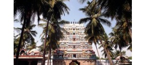 099. திருஆவடுதுறை